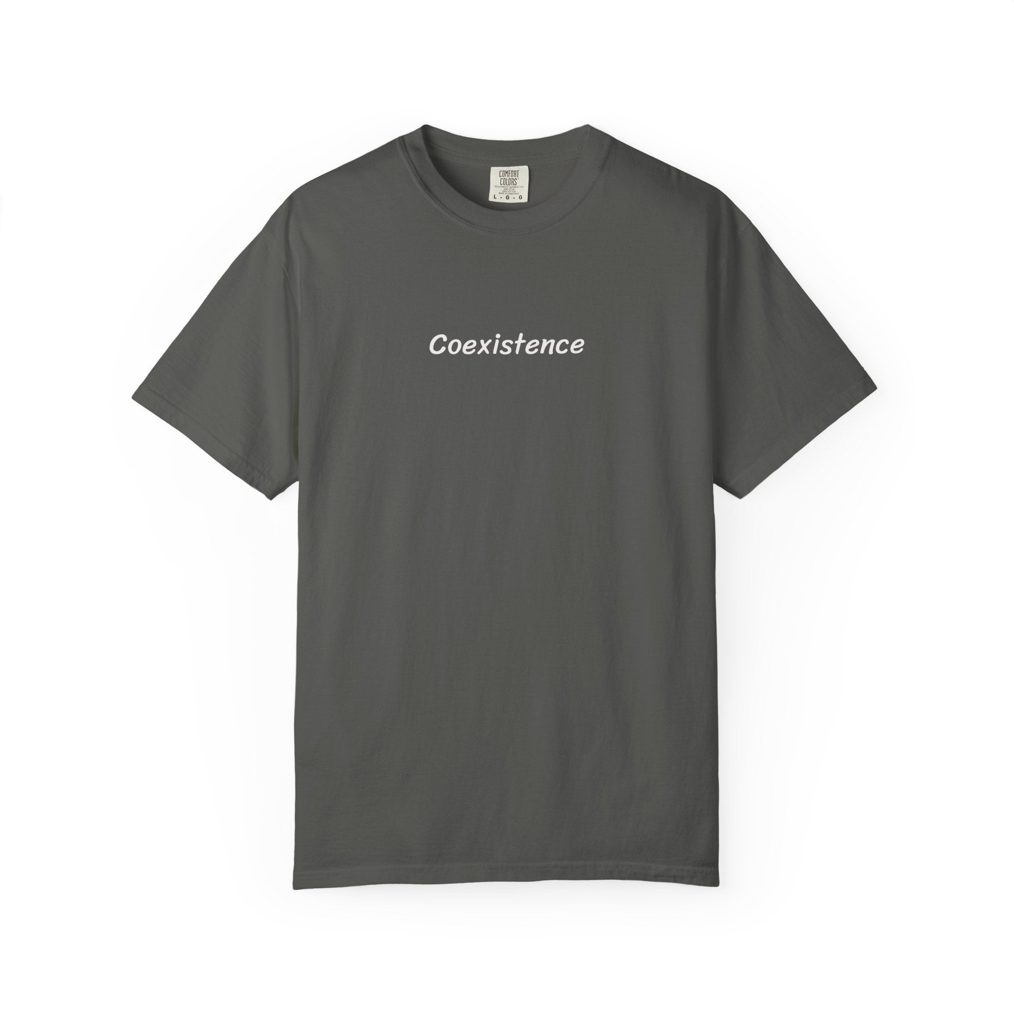 Coexistence T-Shirt — Religious Symbols Peace Tee | Interfaith Unity & Spiritual Harmony Design